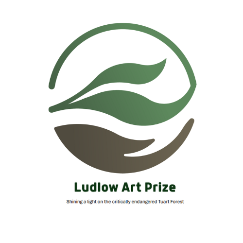 Ludlow Art Prize